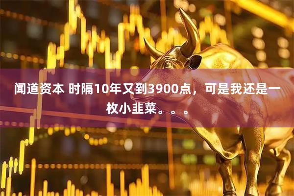 闻道资本 时隔10年又到3900点，可是我还是一枚小韭菜。。。