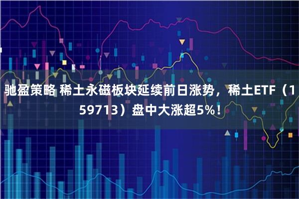 驰盈策略 稀土永磁板块延续前日涨势,稀土ETF(159713)盘中大涨超5%!