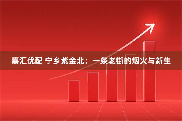 嘉汇优配 宁乡紫金北：一条老街的烟火与新生