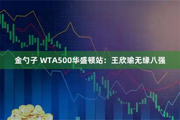 金勺子 WTA500华盛顿站:王欣瑜无缘八强